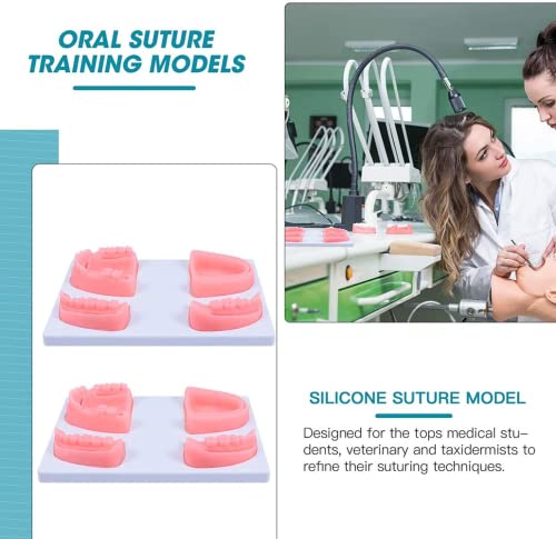 LSOAARRT Oral Suture Training Model Silicone Dental Suture Pad Kit for Hospital Students Vets Practicing Suturing and Implants on Soft Gum Teeth Pink