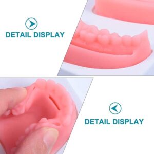 LSOAARRT Oral Suture Training Model Silicone Dental Suture Pad Kit for Hospital Students Vets Practicing Suturing and Implants on Soft Gum Teeth Pink