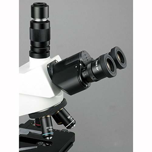 AmScope T580B 2000X Professional Research Biological Compound Microscope