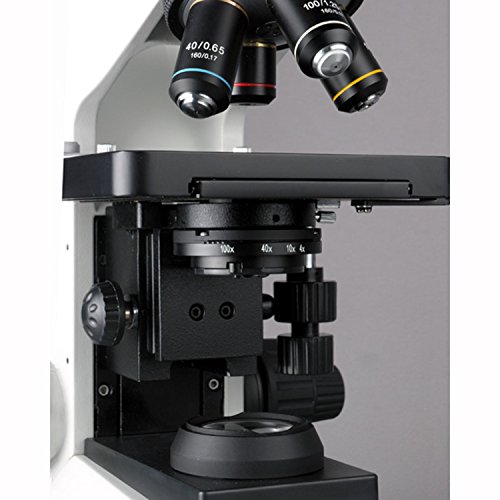 AmScope T580B 2000X Professional Research Biological Compound Microscope