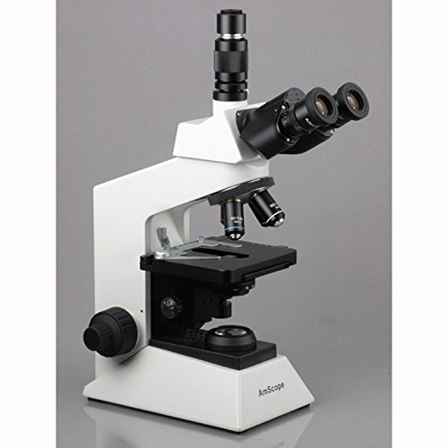 AmScope T580B 2000X Professional Research Biological Compound Microscope