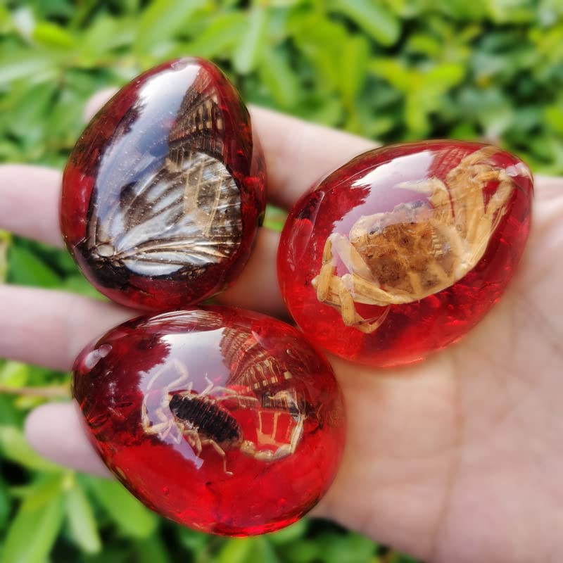 Colourful Amber Fossil Insect Artificial Amber Insect Specimen Pendant Amber Stone Ornament for Collection,Science Education (12 PCS)