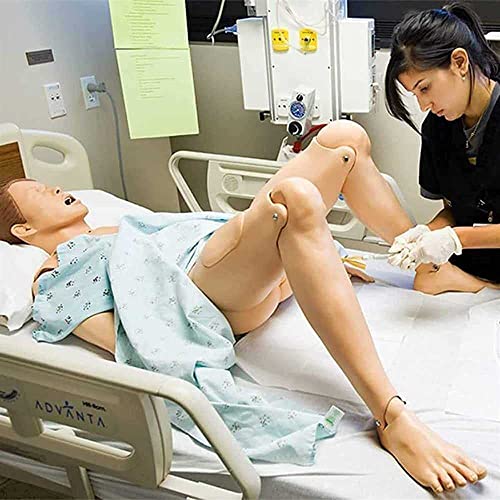 FOCCAR Patient Care Manikin Nursing Skills Training CPR Simulator 170Cm Life Size Full Body Human Anatomical Model for Medical Study