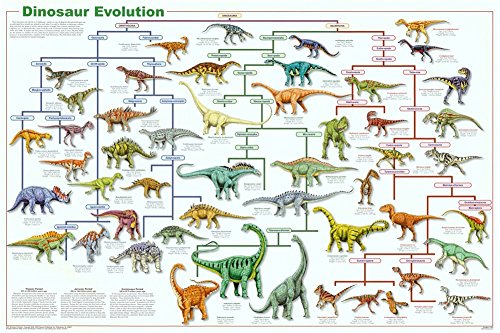 Dinosaur Evolution Educational Science Chart Poster 36 x 24in