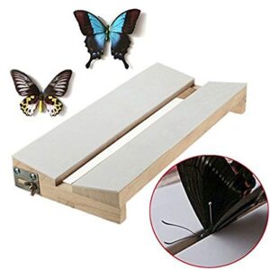 Adjustable Insects Butterfly Spreading Board Mounting Solid Wood V Shape