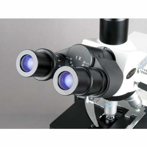 AmScope T690C-PL-10M Digital Trinocular Compound Microscope, 40X-2500X Magnification, WH10x and WH25x Super-Widefield Eyepieces, Infinity Plan Achromatic Objectives, Brightfield, Kohler Condenser, Double-Layer Mechanical Stage, Includes 10MP Camera with R