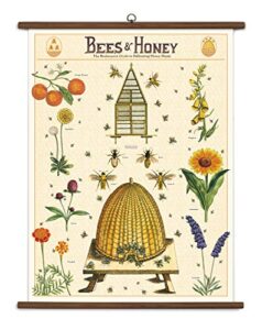 cavallini papers & co., inc. bees & honey vintage school chart, multi
