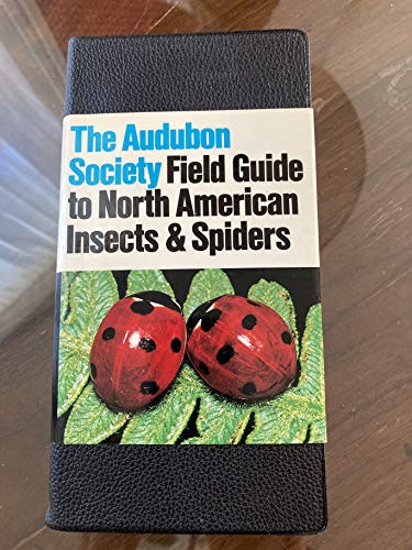 National Audubon Society Field Guide to North American Insects and Spiders