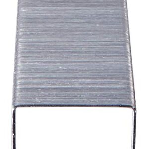 Bostitch Premium Standard Staples in Clear Plastic Box, 1/4 Inch Leg, 5,000 Per Box (SB10)