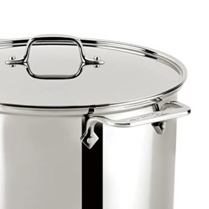 All-Clad Gourmet Accessories Stainless Steel Multi-Pot with Perforated, Steamer Insert, & Lid, 12 Quart, Silver