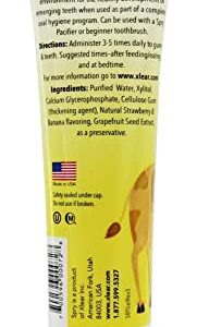 Spry Kid's Xylitol Tooth Gel, Natural Strawberry Banana, 2 fl oz