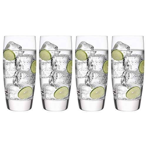 Luigi Bormioli Set of 4 Michelangelo Masterpiece 14.5-Oz. Beverage Glasses