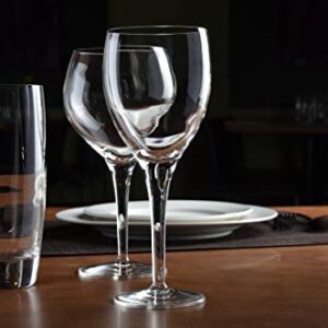 Luigi Bormioli Set of 4 Michelangelo Masterpiece 14.5-Oz. Beverage Glasses