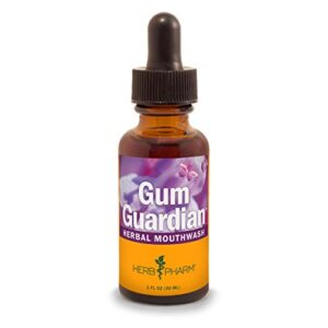 herb pharm gum guardian herbal mouthwash for healthy mouth and gums, organic, 1 fl oz (pack of 1)