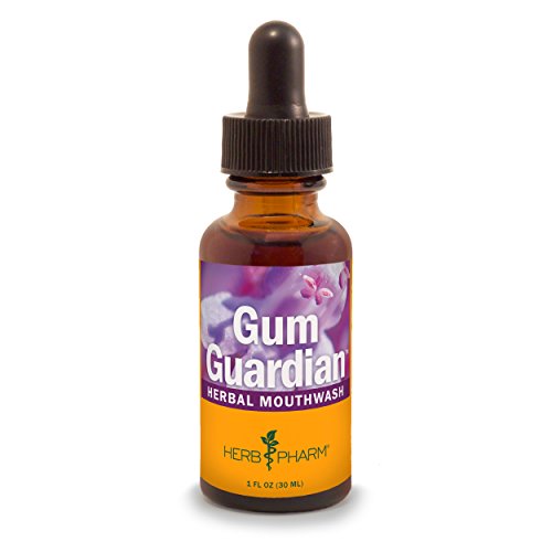 Herb Pharm Gum Guardian Herbal Mouthwash for Healthy Mouth and Gums, Organic, 1 Fl Oz (Pack of 1)