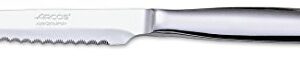 ARCOS Mesa Steak Set, 4 inches, Silver