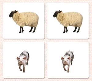 adult farm animals: matching cards