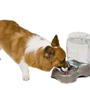 Petmate Pet Cafe Waterer Cat and Dog Water Dispenser 4 Sizes, 3 GAL, Pearl Tan