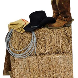 3-D Western Centerpiece Party Accessory (1 count) (1/Pkg)