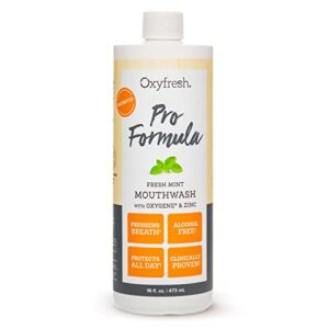 premium oxyfresh pro formula fresh mint mouthwash – patented zinc mouthwash for all day fresh breath & healthy gums – refreshing & alcohol free mouthwash | 16oz