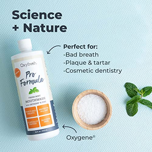 Premium Oxyfresh Pro Formula Fresh Mint Mouthwash – Patented Zinc Mouthwash for All Day Fresh Breath & Healthy Gums – Refreshing & Alcohol Free Mouthwash | 16oz