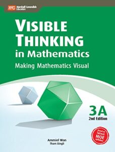 visible thinking in mathematics, 3a
