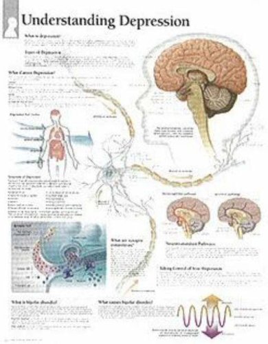 Understanding Depression chart: Wall Chart