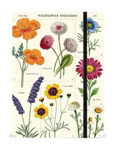 wildflowers notebook