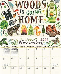 Katie Daisy 2023 Wall Calendar: Meet Me in the Meadow | 12" x 24" Open | Amber Lotus Publishing