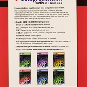 Newmark Learning Grade 4 Common Core Comprehension Aid