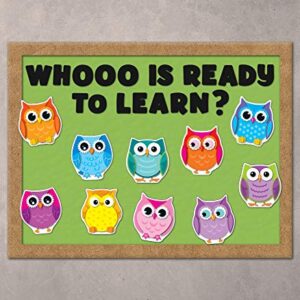 Carson Dellosa Colorful Owls Cutouts, 36 Owl Cutouts for Bulletin Board and Classroom Décor, Bird Décor Classroom Cut-outs, Bird Cutouts for Classroom Bulletin Board Decorations