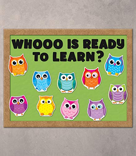 Carson Dellosa Colorful Owls Cutouts, 36 Owl Cutouts for Bulletin Board and Classroom Décor, Bird Décor Classroom Cut-outs, Bird Cutouts for Classroom Bulletin Board Decorations