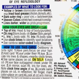 IRIDOLOGY CHART of EYE Reflexology (Rainbow Coded) in the Inner Light Resources Rainbow® Cards & Charts Series. 8.5 x 11 in. (Small Poster/ Large Card)