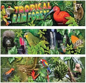 carson dellosa mark twain tropical rain forest bulletin board set (410039)