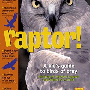 Raptor! A Kid's Guide to Birds of Prey