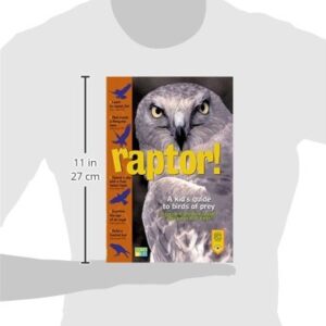 Raptor! A Kid's Guide to Birds of Prey