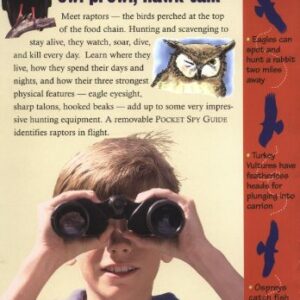 Raptor! A Kid's Guide to Birds of Prey