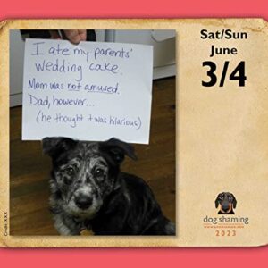 Dog Shaming 2023 Day-to-Day Calendar