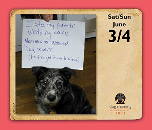 Dog Shaming 2023 Day-to-Day Calendar