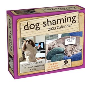 Dog Shaming 2023 Day-to-Day Calendar