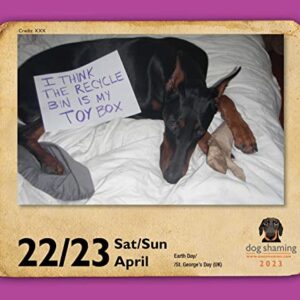 Dog Shaming 2023 Day-to-Day Calendar