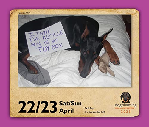 Dog Shaming 2023 Day-to-Day Calendar