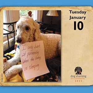 Dog Shaming 2023 Day-to-Day Calendar