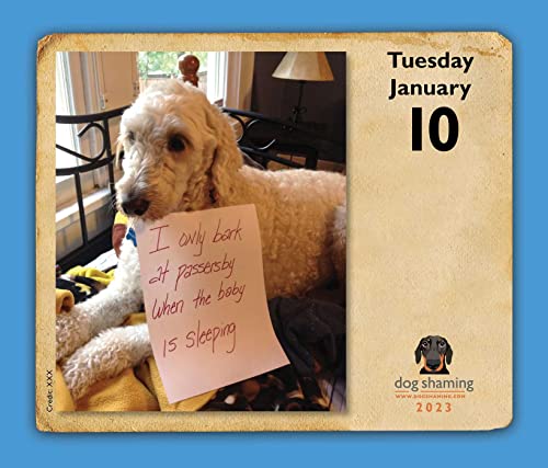 Dog Shaming 2023 Day-to-Day Calendar