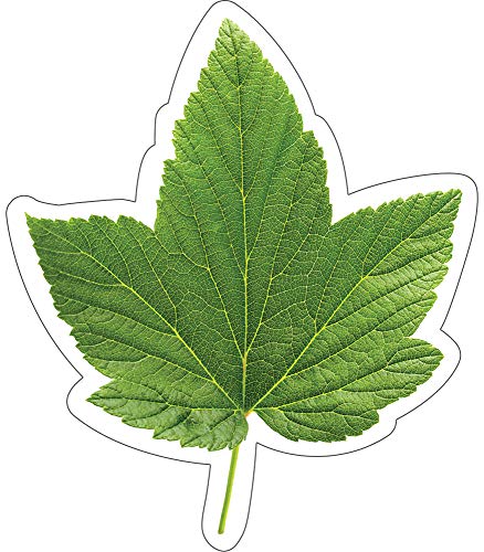 Schoolgirl Style Woodland Whimsy Green Leaves Cutouts, 36 Leaf Cutouts For Bulletin Board & Classroom Decor, Spring Greenery Classroom Cut-outs, Cutouts For Classroom Summer Bulletin Board Decorations