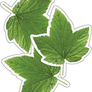 Schoolgirl Style Woodland Whimsy Green Leaves Cutouts, 36 Leaf Cutouts For Bulletin Board & Classroom Decor, Spring Greenery Classroom Cut-outs, Cutouts For Classroom Summer Bulletin Board Decorations