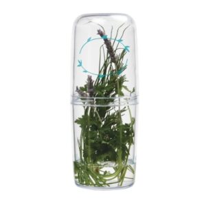 Norpro Fresh Herb Keeper Refrigerator Container Basil Cilantro Etc. 9" x 3.75"