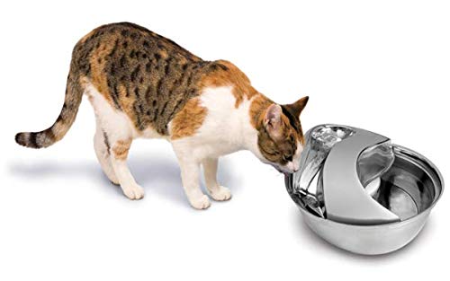 Pioneer Pet Stainless Steel Fountain Raindrop Design