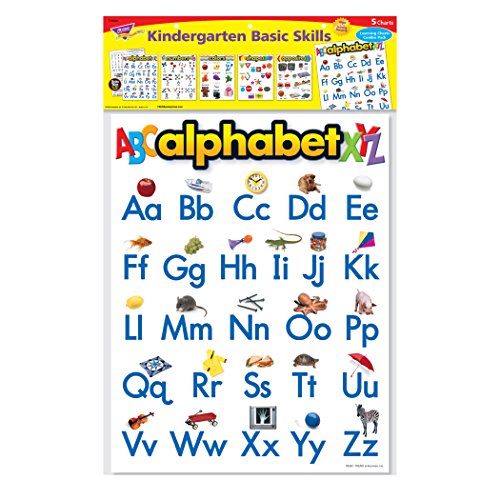 TREND enterprises, Inc. Kindergarten Basic Skills Learning Chts Combo Pk, Set 5, Multi, (T-38920)