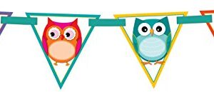 Carson Dellosa Banner, Colorful Owls (102038)